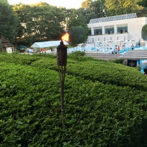 ラディソンホテル成田 (18)