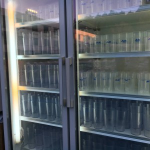 ラディソンホテル成田 (21)