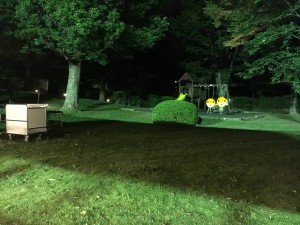 ラディソンホテル成田 (40)